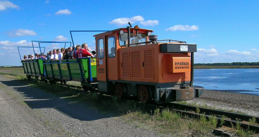 Seelter Foonkieker im Oldenburger Münsterland