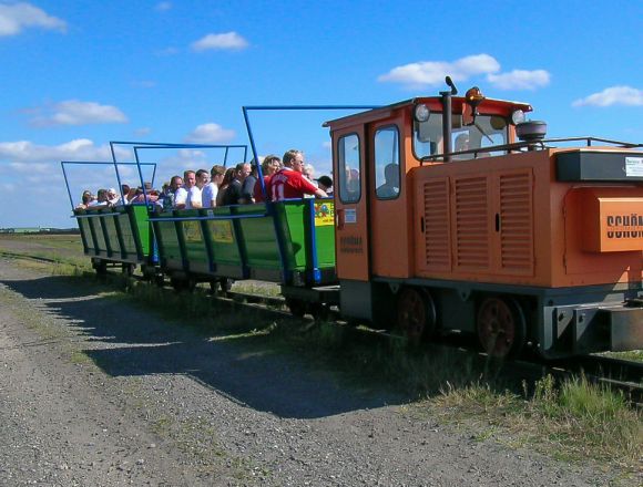 Seelter Foonkieker im Oldenburger Münsterland